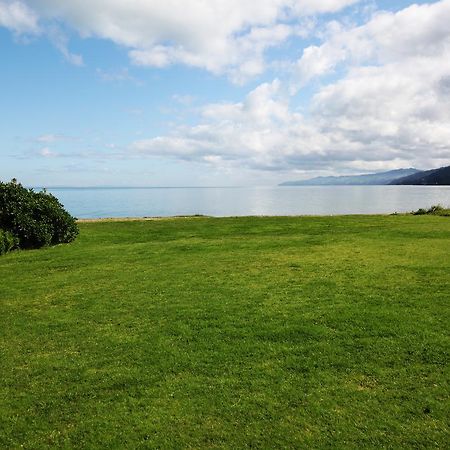 Te Puru Beach Lodge Extérieur photo